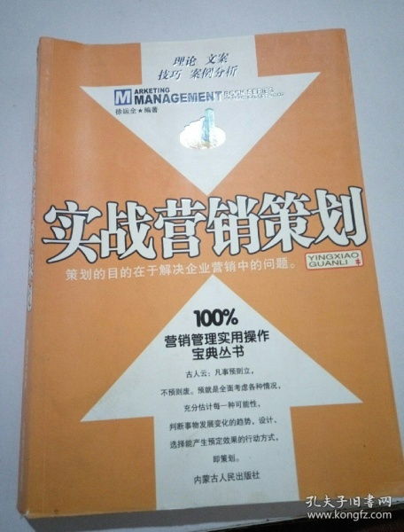 從問題到方案 實戰(zhàn)營銷策劃與企業(yè)管理咨詢的融合之道