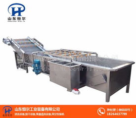 山東恒爾 專業辣椒氣泡清洗機廠家與機械電氣設備銷售服務